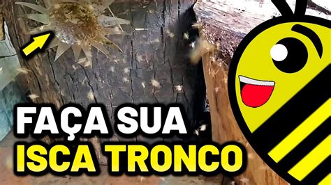 Como Fazer Isca Tronco Para Abelhas Sem Ferr O Passo A Passo Youtube