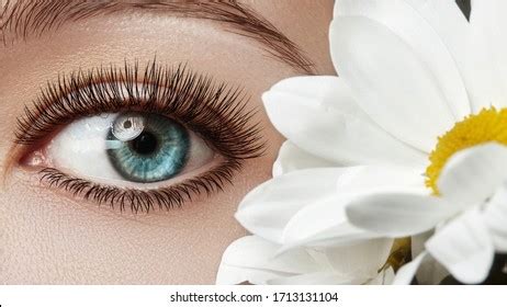 Best Extremely Long Eyelashes Royalty-Free Images, Stock Photos ...