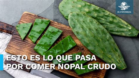 Estos Son Los Beneficios De Comer Nopal Crudo En Ayunas Youtube