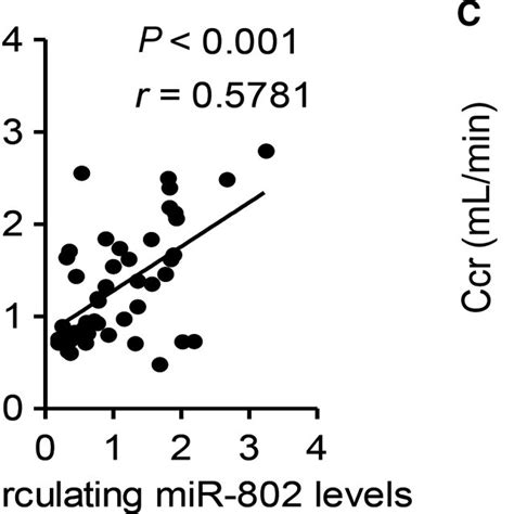 Circulating Mir Level Is Closely Correlated With Renal Functional