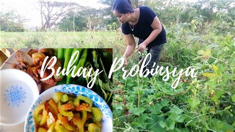 Almusal Sa Probinsya Buhay Probinsya Youtube