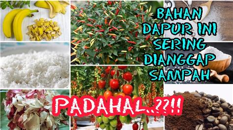 Cara Menyuburkan Dan Menyehatkan Tanaman Dengan Bahan Bahan Dapur Youtube