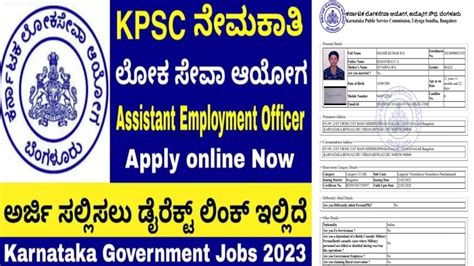 How To Apply For Assistant Employment Officer Full Application Process