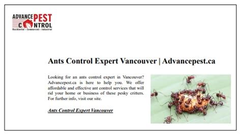 Ants Control Expert Vancouver Advancepest Ca