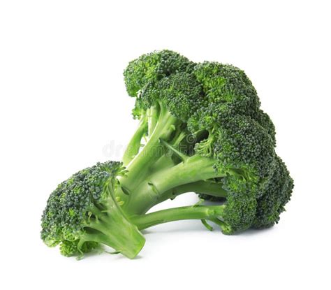 Fresh Broccoli Isolated. Edible Green Plant Stock Photo - Image of ...