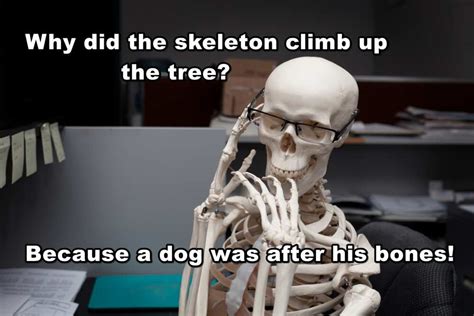 100 Skeleton Puns Jokes And Memes That Will Tickle Your Funny Bone