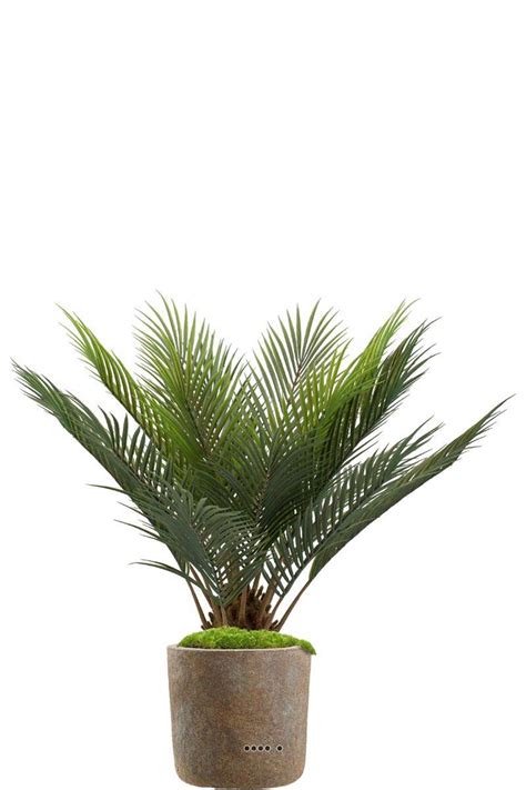 Palmier Cycas Plante Verte Synth Tique En Pot Bananiers Bleus