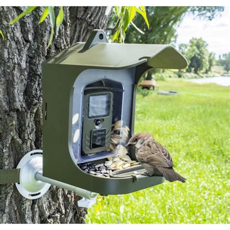 Bird Watching Camera BC-303 For Domestic Birds And Small Animals With ...