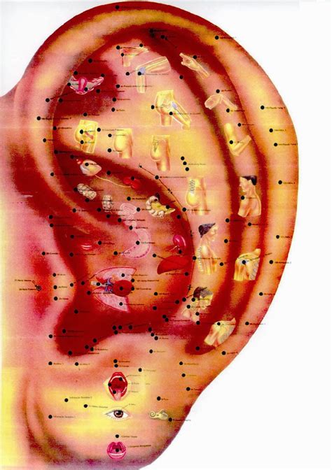 Reiki Cora O Terapias A Auriculoterapia Como Terapia Complementar