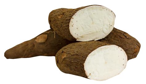 Cassava PNG Image PurePNG Free Transparent CC0 PNG Image Library