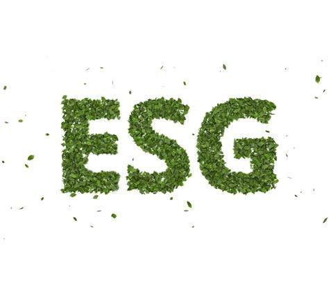 Esg Investing Beginners Guide Financial Freedom Made Simple