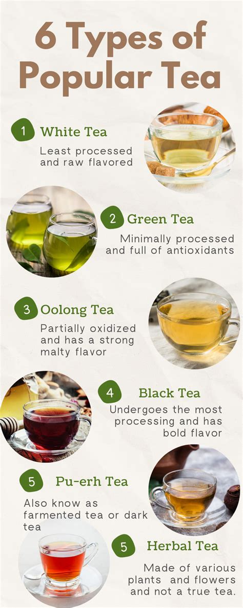 6 Types Of Tea Discover The World Of Tea