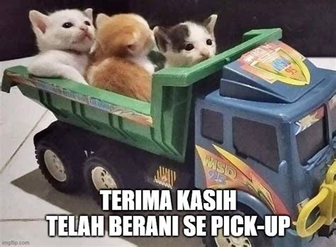 kucing speak up Memes - Imgflip