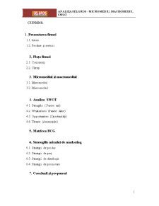 Analiza Selgros Micromediu Macromediu SWOT Proiect DOCX