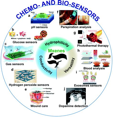 Recent Advances In Flexible And Wearable Chemo And Bio Sensors Based