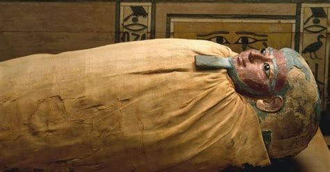 Discover the Luxor and Mummification museums | musement