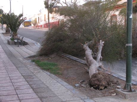 Fuertes Vientos Se Registraron En Caldera Esta Madrugada