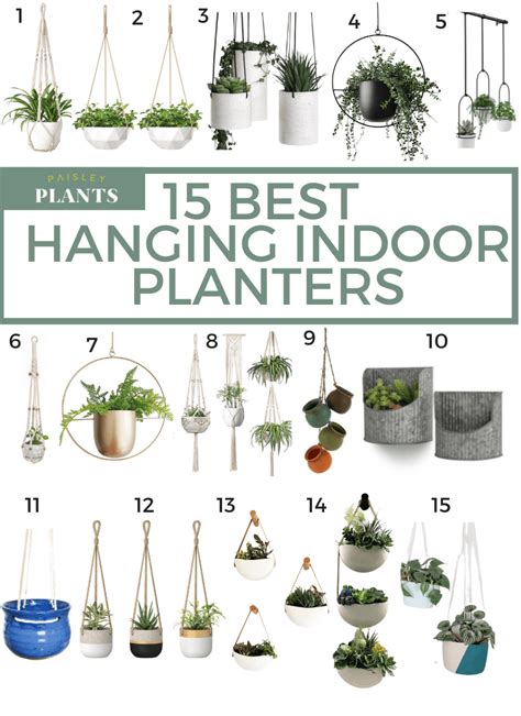 15 Best Hanging Indoor Planters for Your Home - Paisley Plants