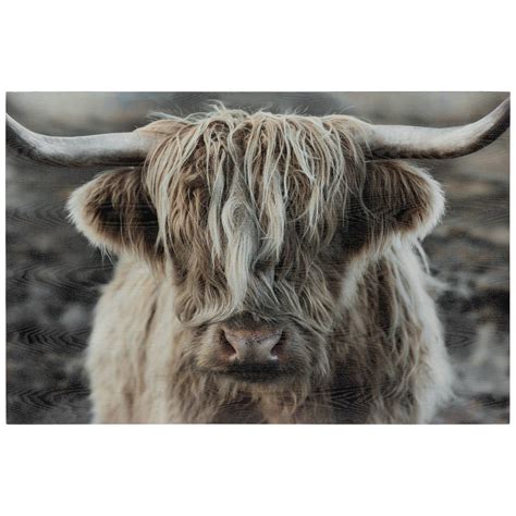 Highland Cow Wood Wall Decor Hobby Lobby 2285229