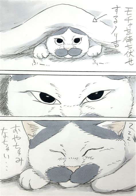 「まいにちノリ吉」にごたろ『ノリ吉は大吉猫』発売中の漫画