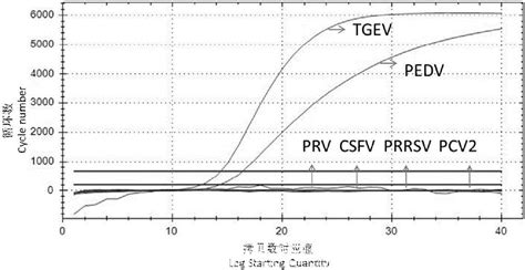 一种pedv和tgev双重rt‑pcr检测方法及其探针引物组合与试剂盒与流程