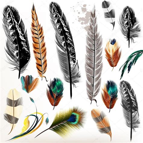 Set Of Vector Realistic Colorful Feathers Stock Vector Mashakotscur