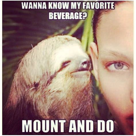 1000 Images About Perverted Sloths On Pinterest Creepy Sloth Editor