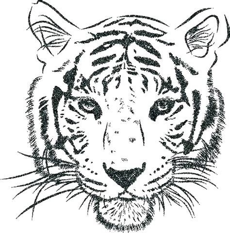 Tiger Drawing Outline at PaintingValley.com | Explore collection of Tiger Drawing Outline