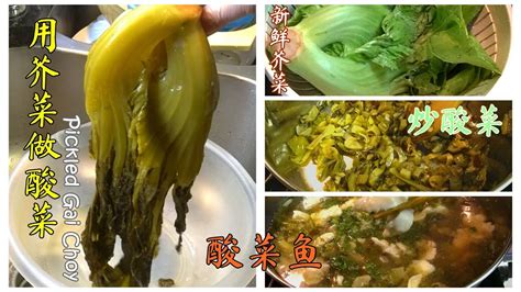 Make Pickled Cabbage With Fresh Gai Choy