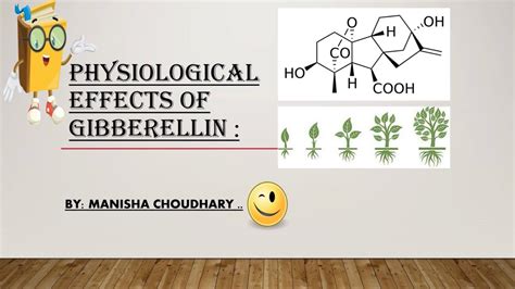 Physiological Effects Of Gibberellin Plant Hormone Csir Ugc Net Hpset Neet Youtube