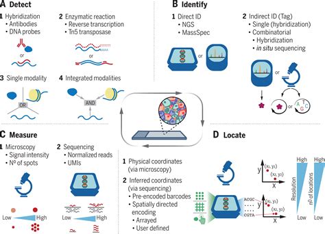 The Dawn Of Spatial Omics Rna Seq Blog