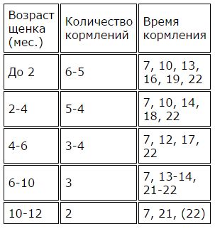 Чем и как правильно кормить щенка на каждом этапе развития?