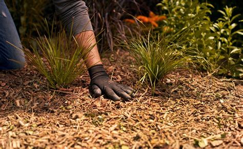 The Benefits Of Mulch And Mulch Mowing Stihl Blog