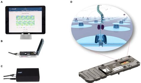 Frontiers Nanopore Sequencing Technology And Its Application In Plant Virus Diagnostics