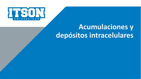 Solution Acumulaciones Y Dep Sitos Intracelulares Studypool