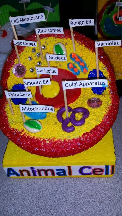 Cell Membrane Definition For 7th Grade Idalias Salon