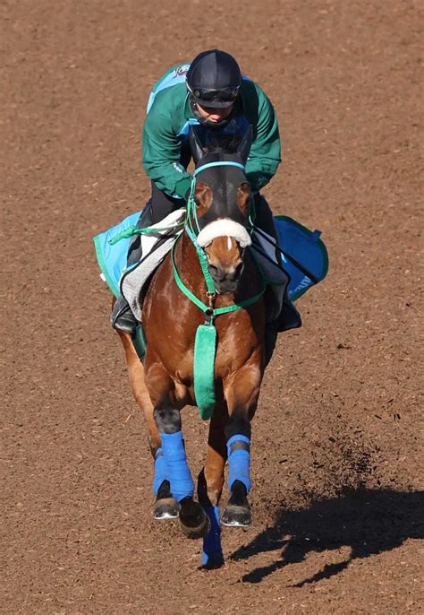 【東海s】ヴィクティファルス仕上がり良好！池添師を背にラスト1f12秒1― スポニチ Sponichi Annex ギャンブル