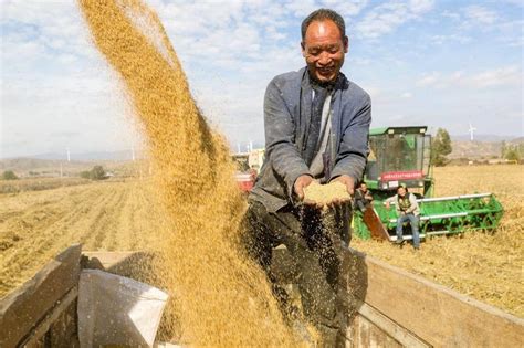 俄烏衝突引爆全球糧荒 Wfp示警：1 25億人面臨糧食短缺 國際 旺得富理財網