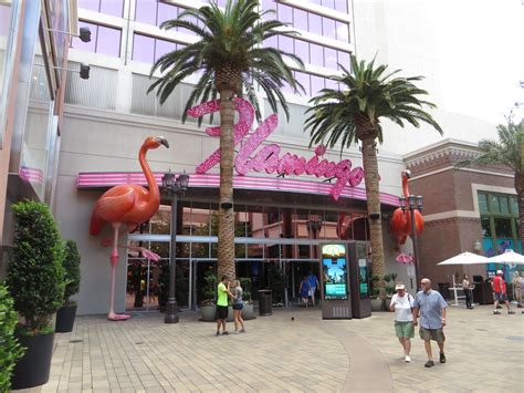 Pink flamingo casino las vegas - plmarch