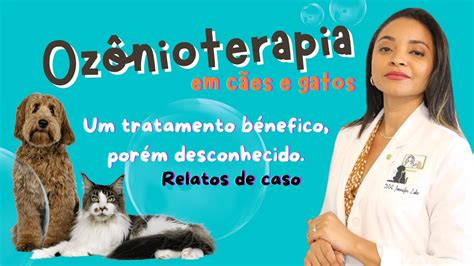 OZÔNIOTERAPIA EM CÃES E GATOS UM TRATAMENTO BENÉFICO POUCO CONHECIDO