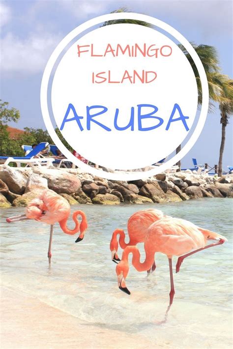 Beyond the beach what makes aruba special – Artofit