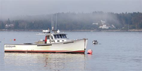 Lobster Harvesting