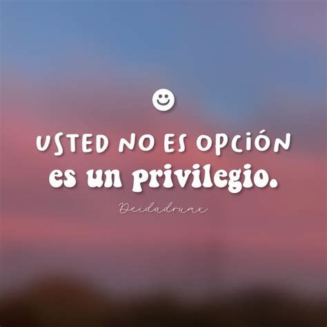 Usted no es opción es un privilegio Frases Insta