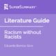 Racism Without Racists Literature Guide By SuperSummary TPT