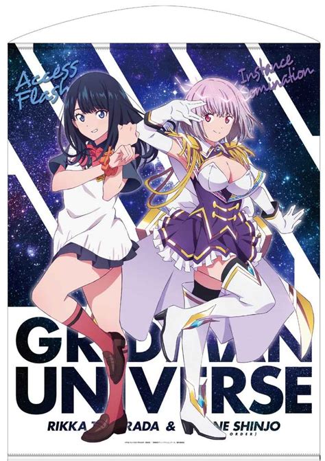 コスパ グリッドマン ユニバース 描き下ろし 新条アカネニューオーダー And 宝多六花 100cmタペストリー とらのあな全年齢向け通販