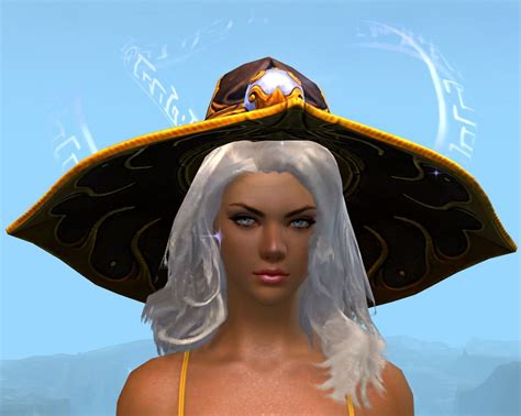 Arcane Spellweaver S Hat Skin Guild Wars 2 Wiki Gw2w