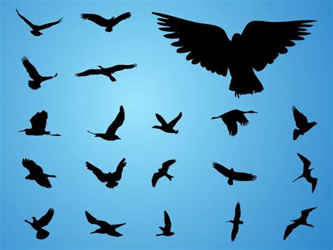 Vector Birds Vector Art & Graphics | freevector.com