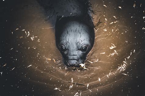 A curious baby Elephant Seal (A Weaner) comes to check me out while in South Georgia. : r/seals