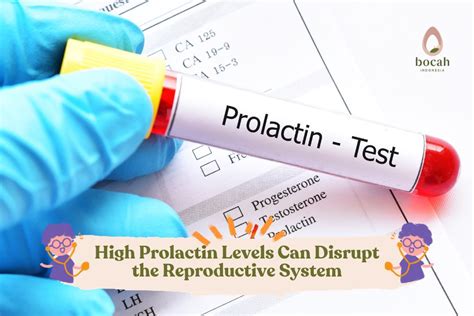 High Prolactin Levels Can Disrupt The Reproductive System