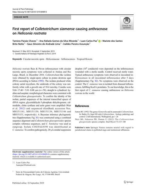 Pdf First Report Of Colletotrichum Siamense Causing Anthracnose On